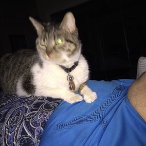 Meet your Posher, Sharon